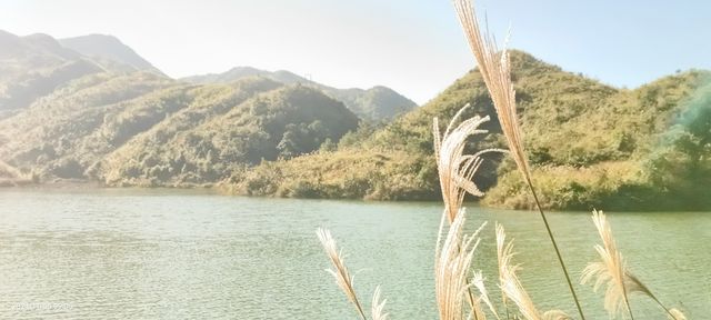 信宜李鄉竹海旅遊度假區