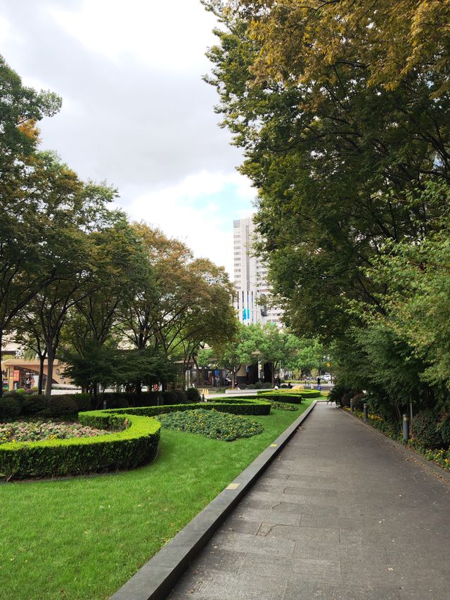 新虹橋公園漫步指南