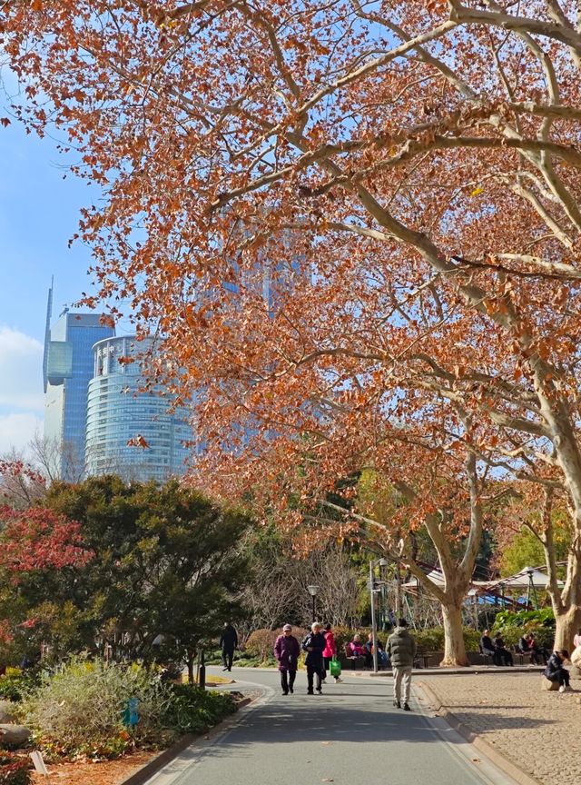 魔都小眾寶藏地人民公園漫遊指南