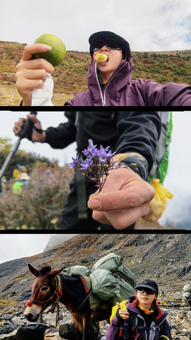 梅里北坡|7天6晚徒步路程攻略篇，遇見卡瓦博格