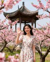 常德保姆級攻略帶你遊玩絕美景點