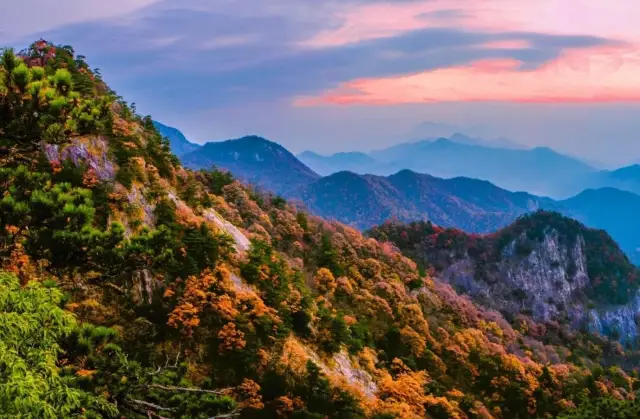 Mingtang Mountain High-Altitude National Trend Red Leaf Festival Begins