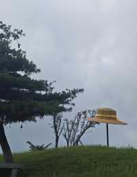 高山草原度假指南