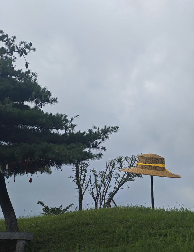 高山草原度假指南 高山草原度假指南