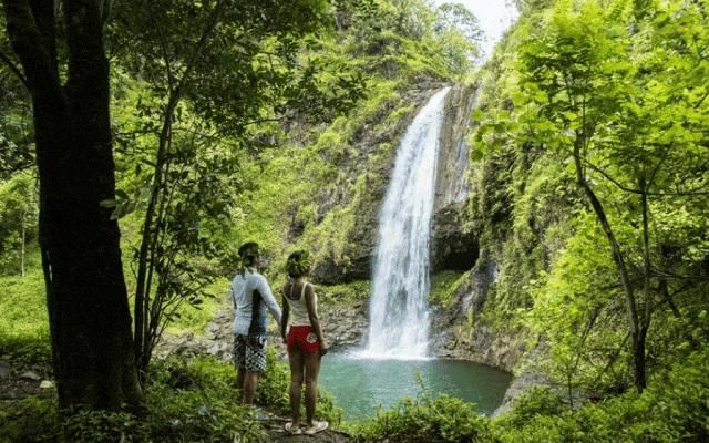 大溪地群島徒步探秘，多樣路線盡享自然美景