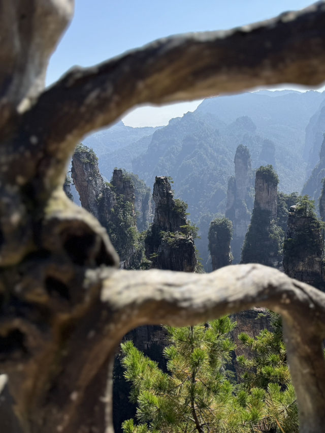 Stone Pillar Magic🌲 Stone Pillar Magic🌲