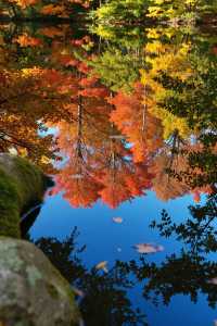 雲平山賞秋全攻略｜上帝最愛的調色板就在這裡！