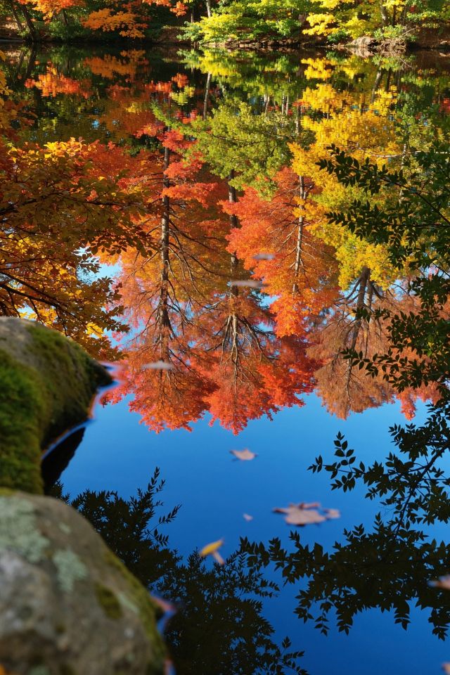 雲平山賞秋全攻略｜上帝最愛的調色板就在這裡！