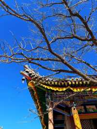 五臺山祈福全攻略|赴一場文殊之約,願六時吉祥