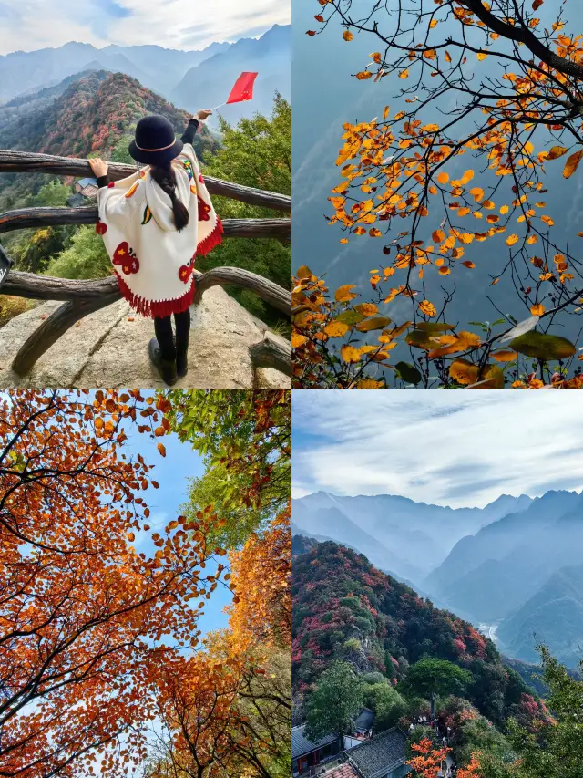 Climb high and enjoy the view in Xi'an, autumn sightseeing and kids outing at Cuihua Mountain is super popular