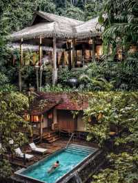 馬來西亞達泰蘭卡威酒店隱藏在熱帶雨林中的華麗天堂