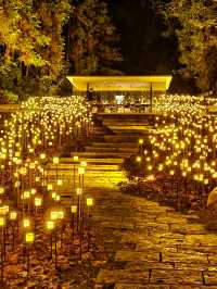 這還是我認識的景德鎮嗎？如此璀璨奪目！