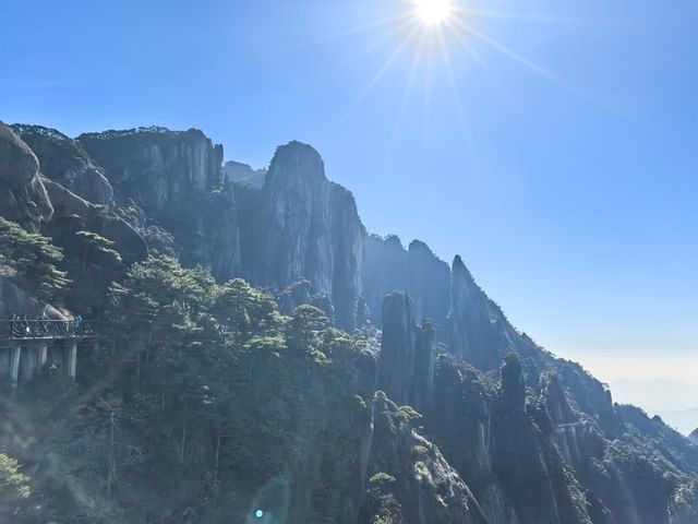 聽我的，不費腿看美景