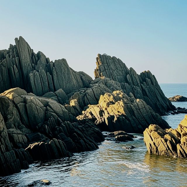 惠州黃金海岸避坑指南