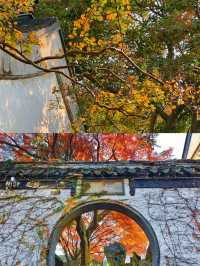 我以為蘇州的秋天夠美了，直到我來了無錫！