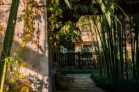 烏村的秋，藏在被忽略的細節裡