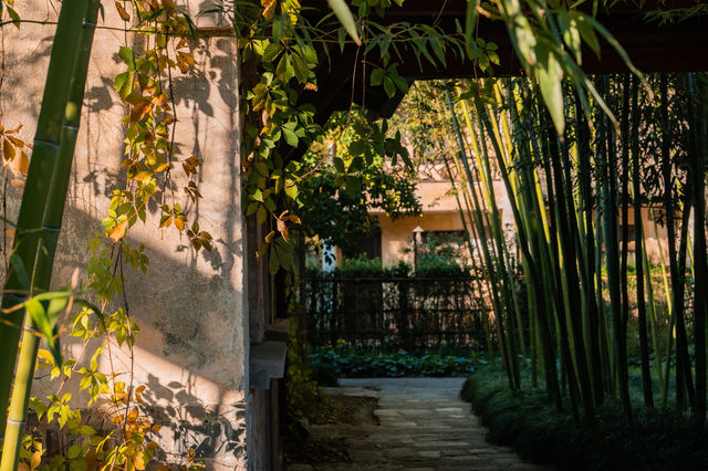 烏村的秋，藏在被忽略的細節裡