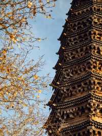 在武安發現一家神仙酒店