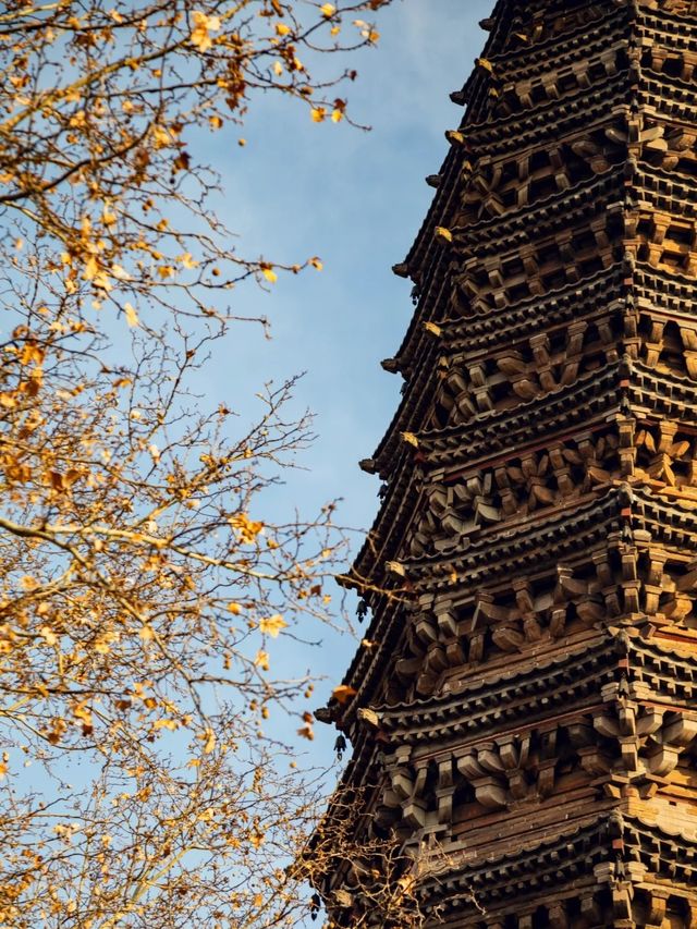 在武安發現一家神仙酒店