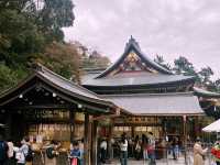 鶴岡八幡宮｜鎌倉最具代表性的神社散步路線 ⛩️🍁