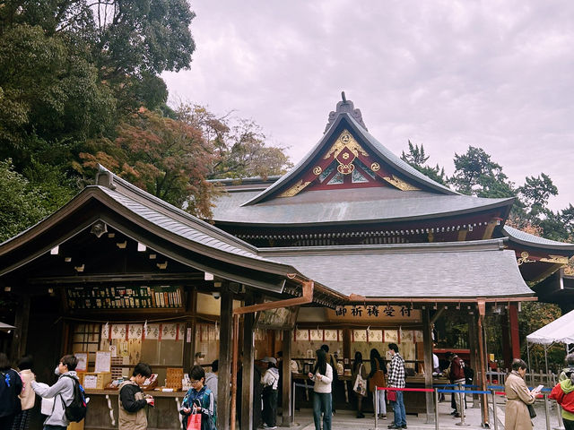 鶴岡八幡宮｜鎌倉最具代表性的神社散步路線 ⛩️🍁