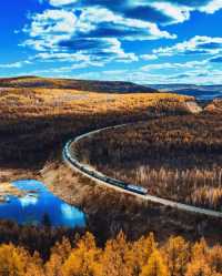 大興安嶺:穿越林海,尋找心中的淨土