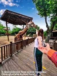 Самые красивые места Шанхая. Топ 10 мест 🇨🇳😍