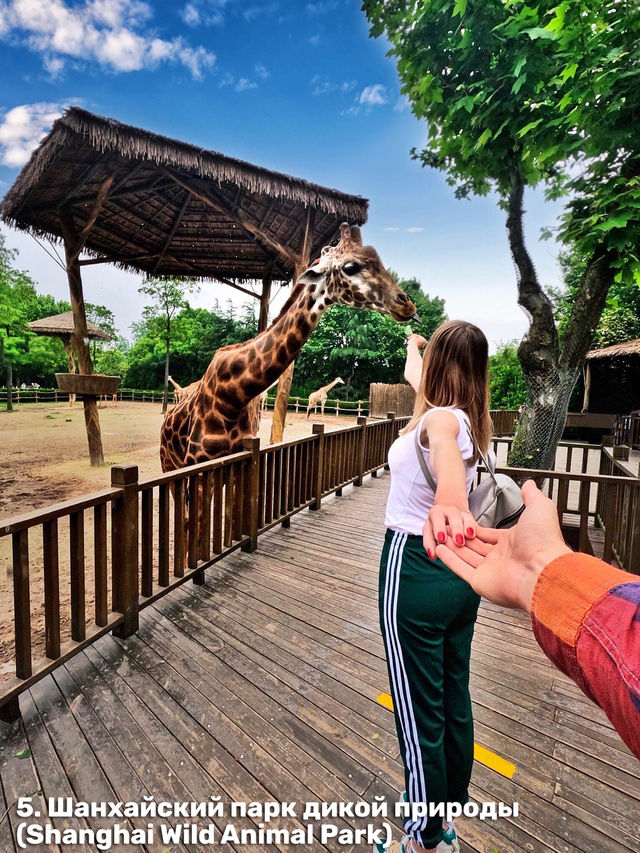 Самые красивые места Шанхая. Топ 10 мест 🇨🇳😍