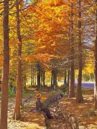 南京99%的人都不知道這裡， 出片還人少