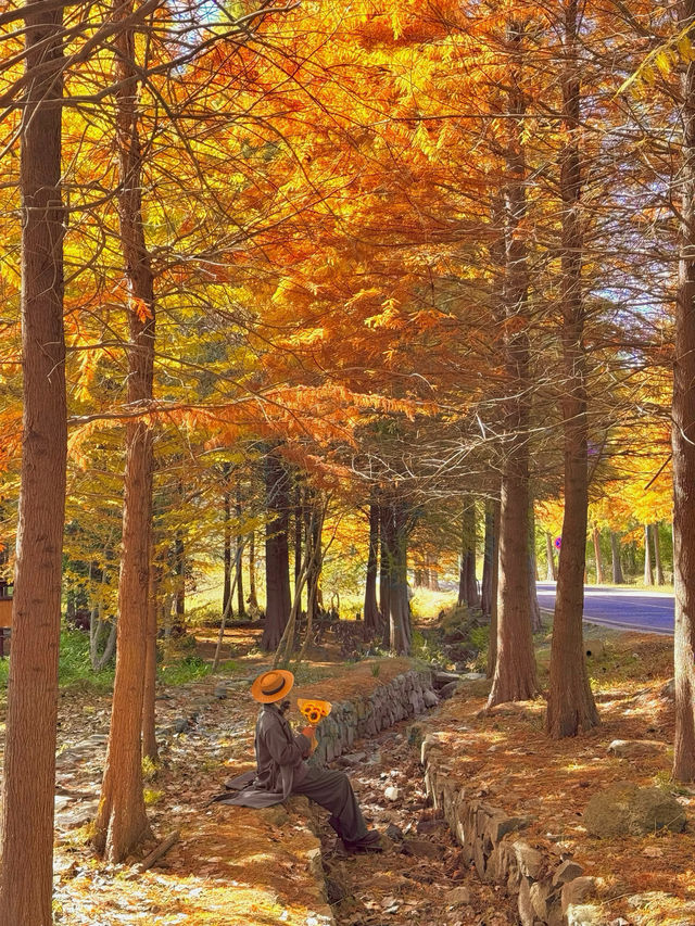 南京99%的人都不知道這裡， 出片還人少