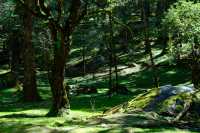 雲杉坪和藍月谷位於玉龍雪山景區遊玩攻略