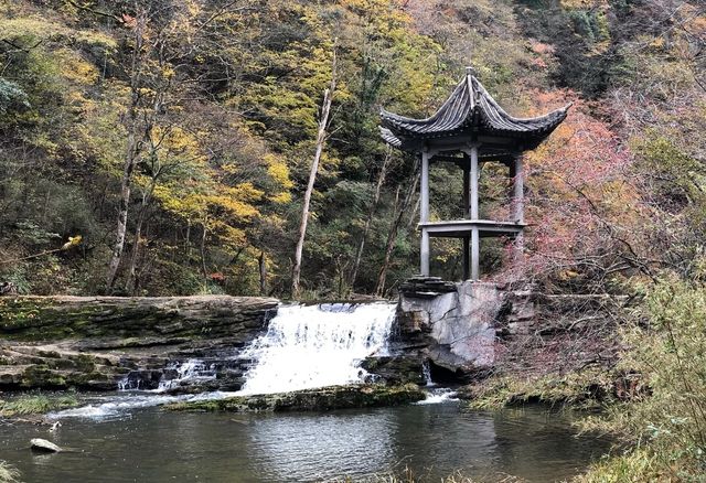 天然大氧吧一一黎坪森林公園