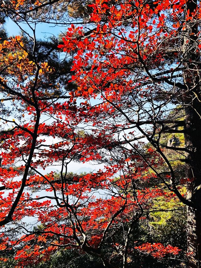 三清山遊覽攻略