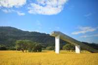 稻田金黃,秋日的浪漫