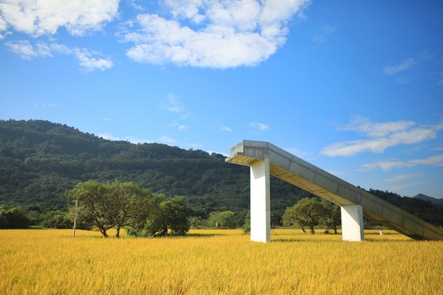 稻田金黃,秋日的浪漫 稻田金黃,秋日的浪漫