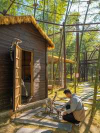 江浙滬這座寶藏樂園！已經被這裡動物萌化了