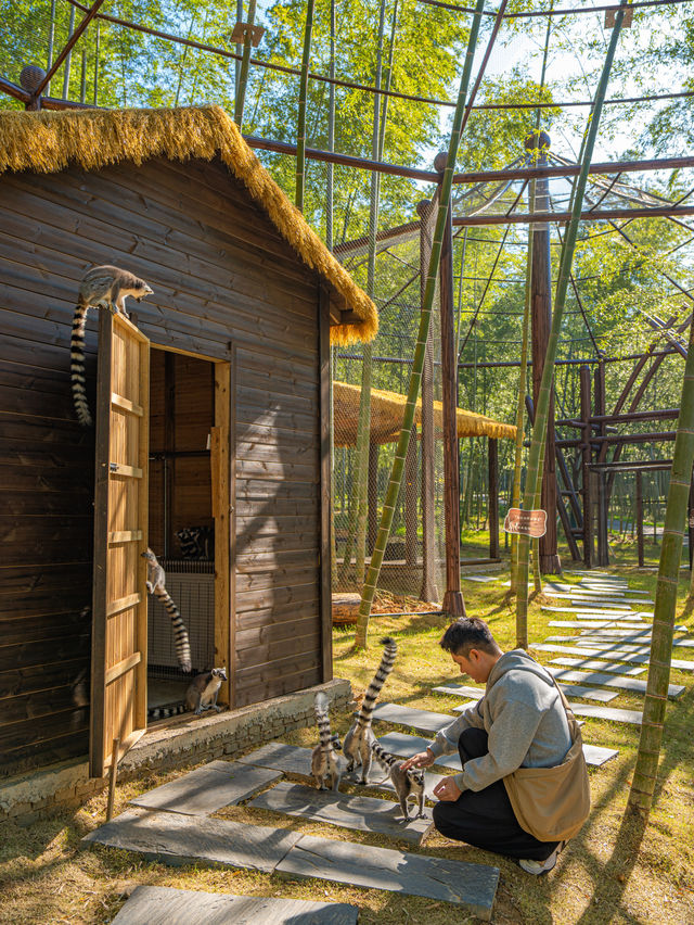 江浙滬這座寶藏樂園！已經被這裡動物萌化了