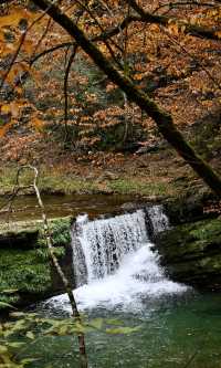 陝西秋日封神之境！黎坪紅葉美到失語