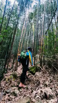 金龍峽徒步｜秦嶺秘境｜人少景美｜新手天堂