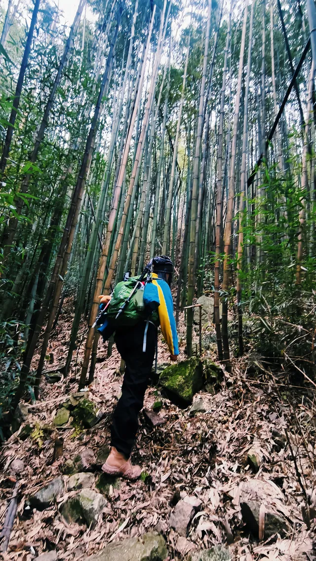 金龍峽徒步｜秦嶺秘境｜人少景美｜新手天堂