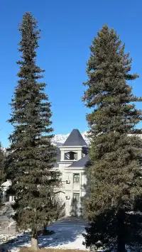 冬季伊犁|我在新疆找到的冰雪