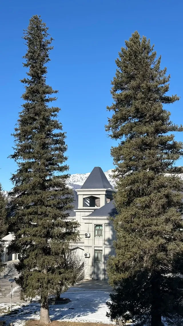 冬季伊犁|我在新疆找到的冰雪 冬季伊犁|我在新疆找到的冰雪