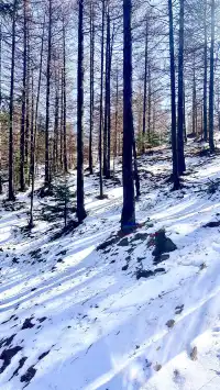 太原周邊｜把生活調成治癒模式