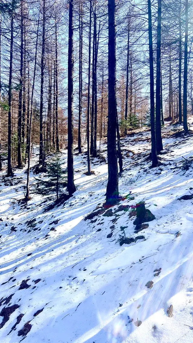 太原周邊｜把生活調成治癒模式