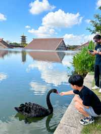 小眾不撞款!廣富林親子隱藏路線+免費福利解鎖