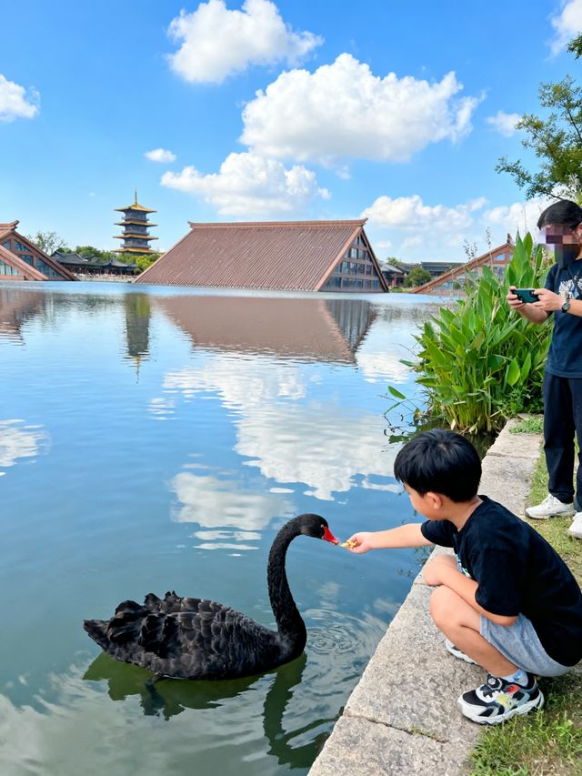小眾不撞款!廣富林親子隱藏路線+免費福利解鎖 小眾不撞款!廣富林親子隱藏路線+免費福利解鎖