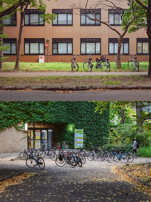 札幌|城市散步日常不妨找個公園治癒下 札幌|城市散步日常不妨找個公園治癒下