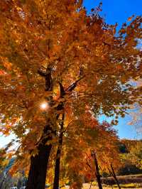 瀋陽必爬棋盤山攻略