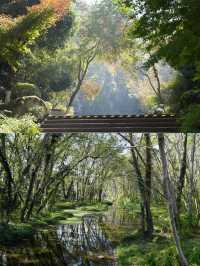 不擠的皖南才香：謎窟+古村的閒庭驚喜