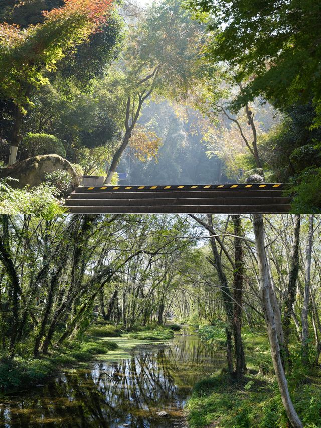 不擠的皖南才香：謎窟+古村的閒庭驚喜